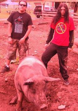 interview Animals Killing People